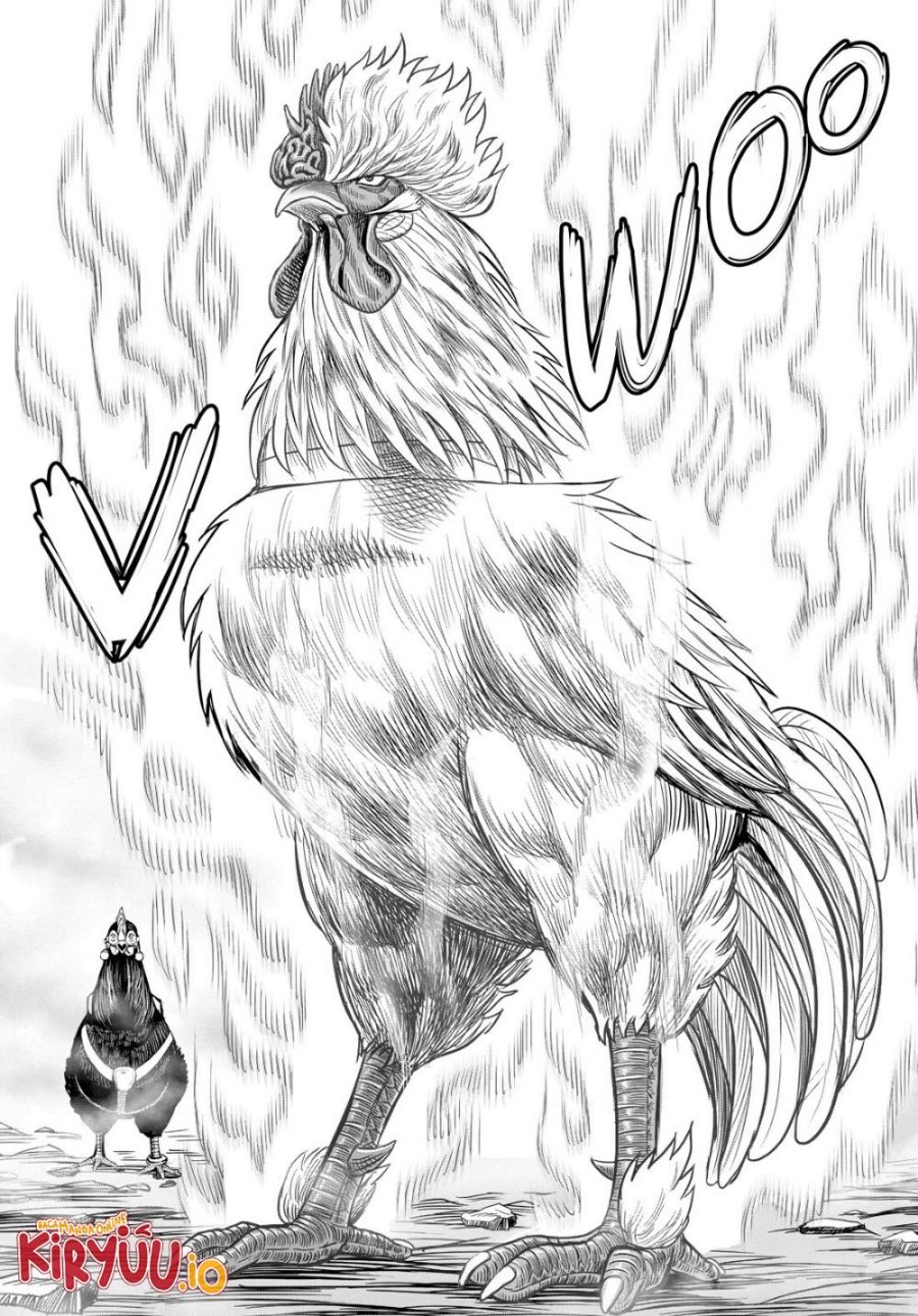 Rooster Fighter Chapter 27 Gambar 51