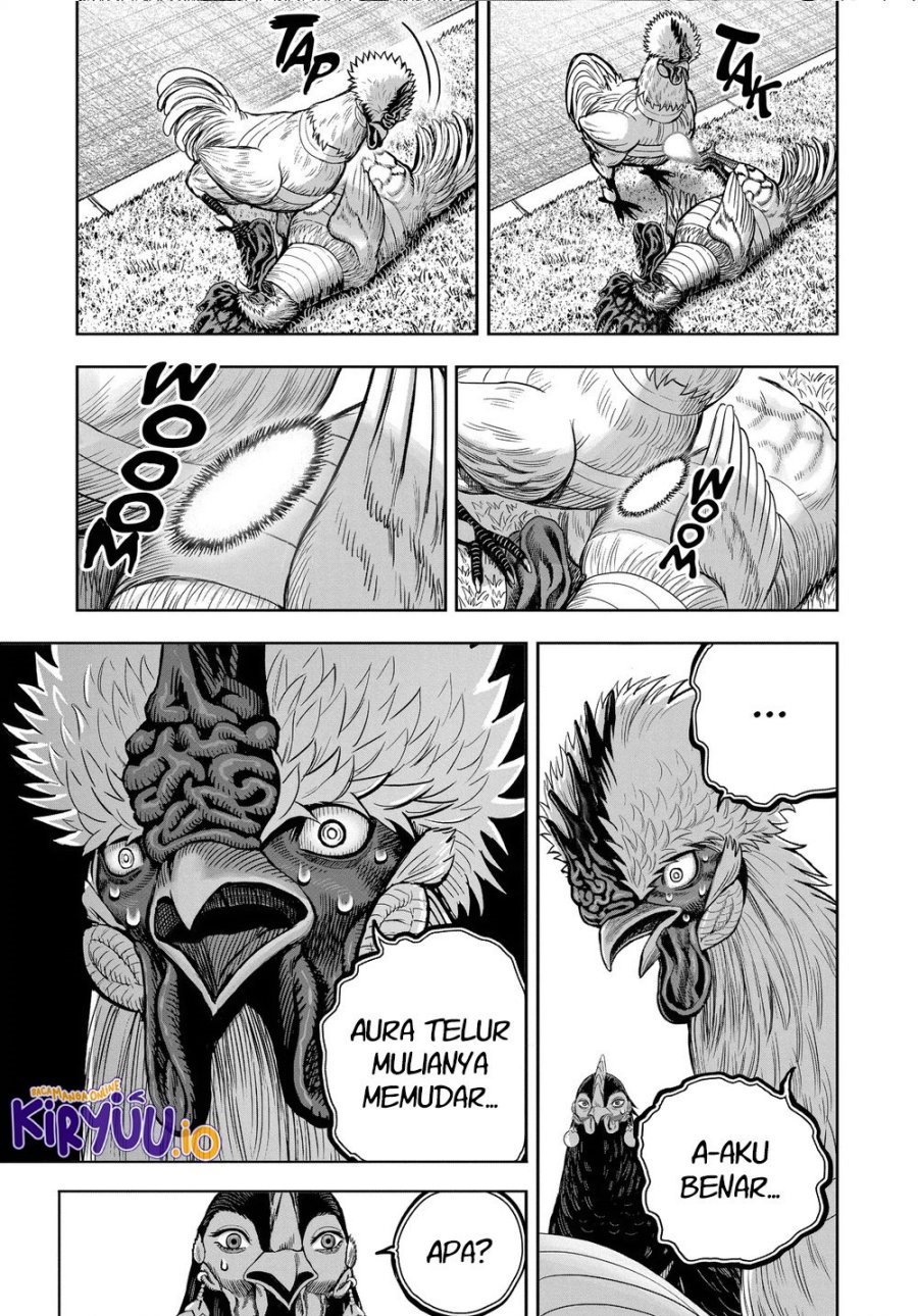 Rooster Fighter Chapter 34 Gambar 16