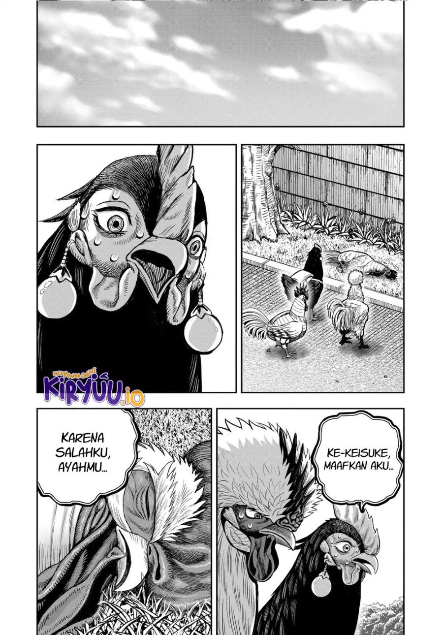 Rooster Fighter Chapter 34 Gambar 38