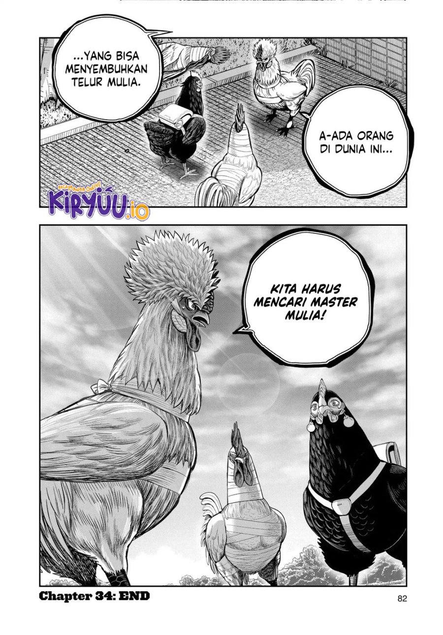 Rooster Fighter Chapter 34 Gambar 41