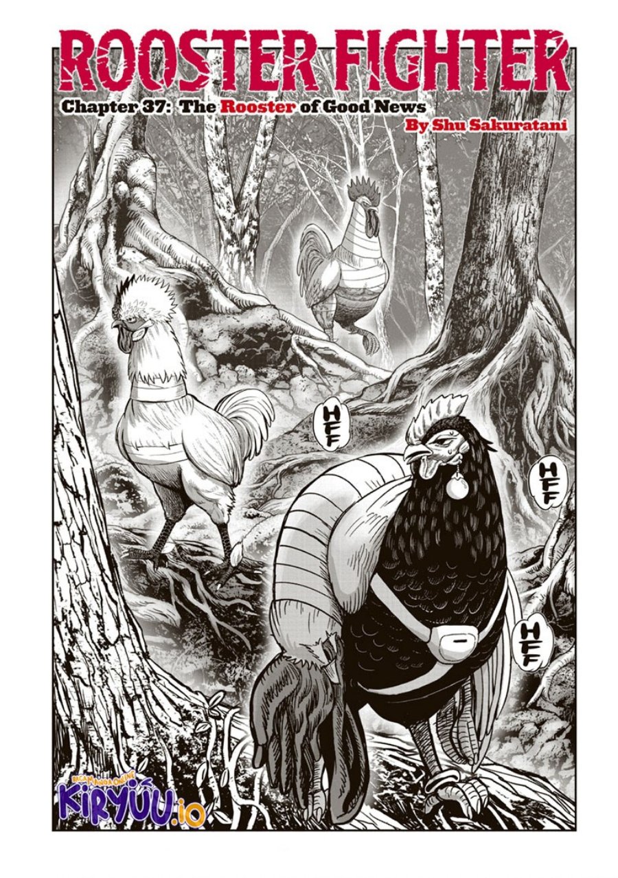 Rooster Fighter Chapter 37 Gambar 2