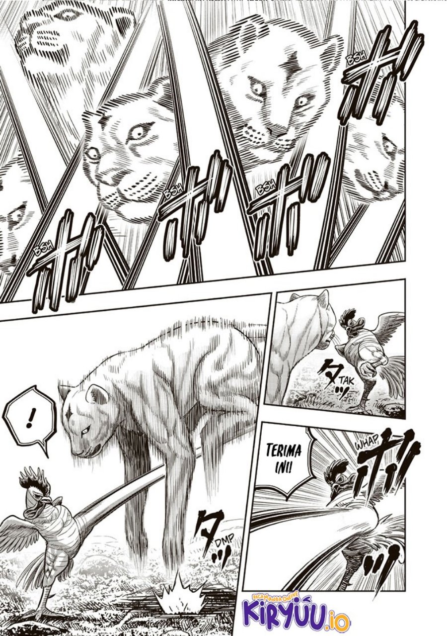 Rooster Fighter Chapter 37 Gambar 28