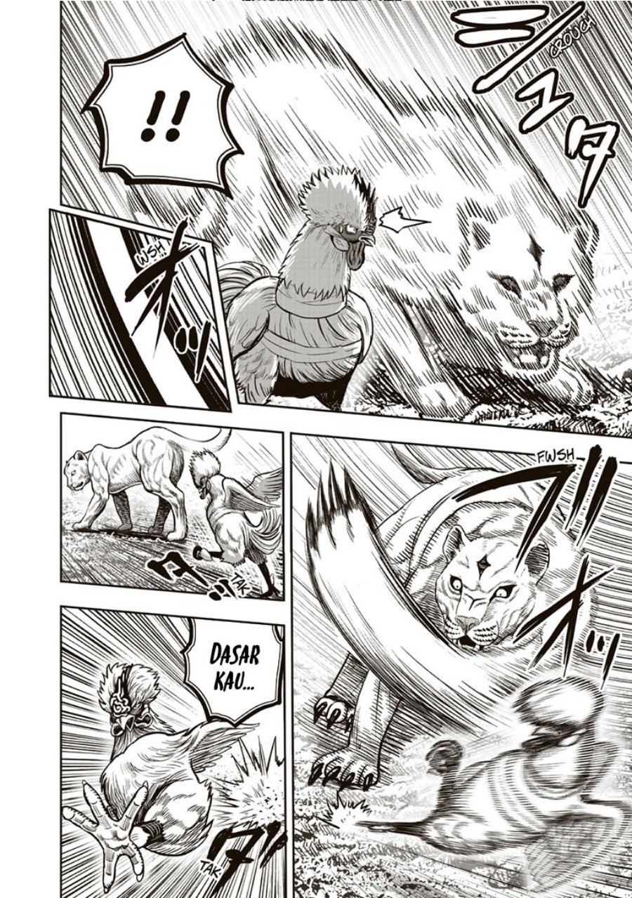 Rooster Fighter Chapter 37 Gambar 31