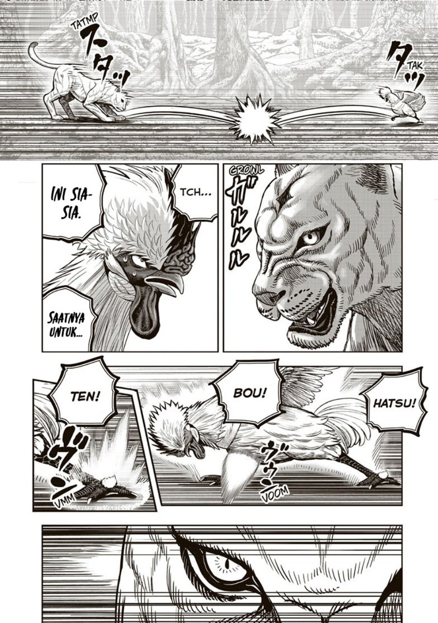 Rooster Fighter Chapter 37 Gambar 33