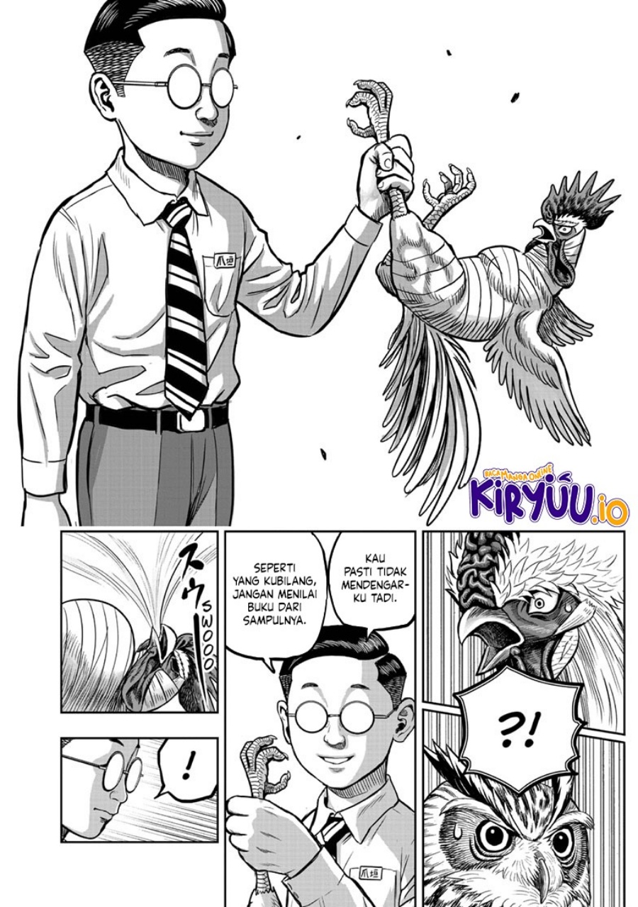 Rooster Fighter Chapter 39 Gambar 17