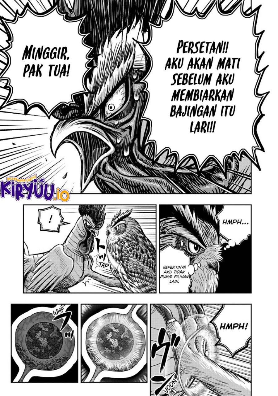 Rooster Fighter Chapter 39 Gambar 44