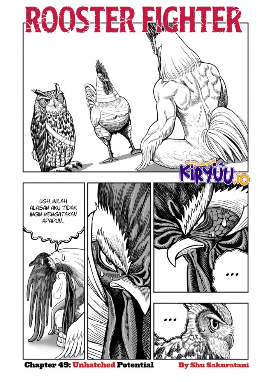 Rooster Fighter Chapter 49 fix Gambar 2