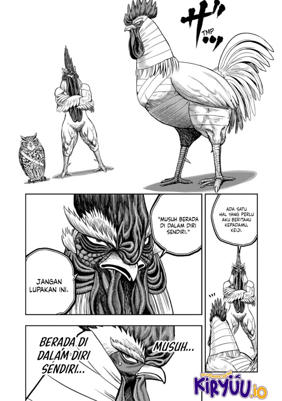 Rooster Fighter Chapter 49 fix Gambar 5