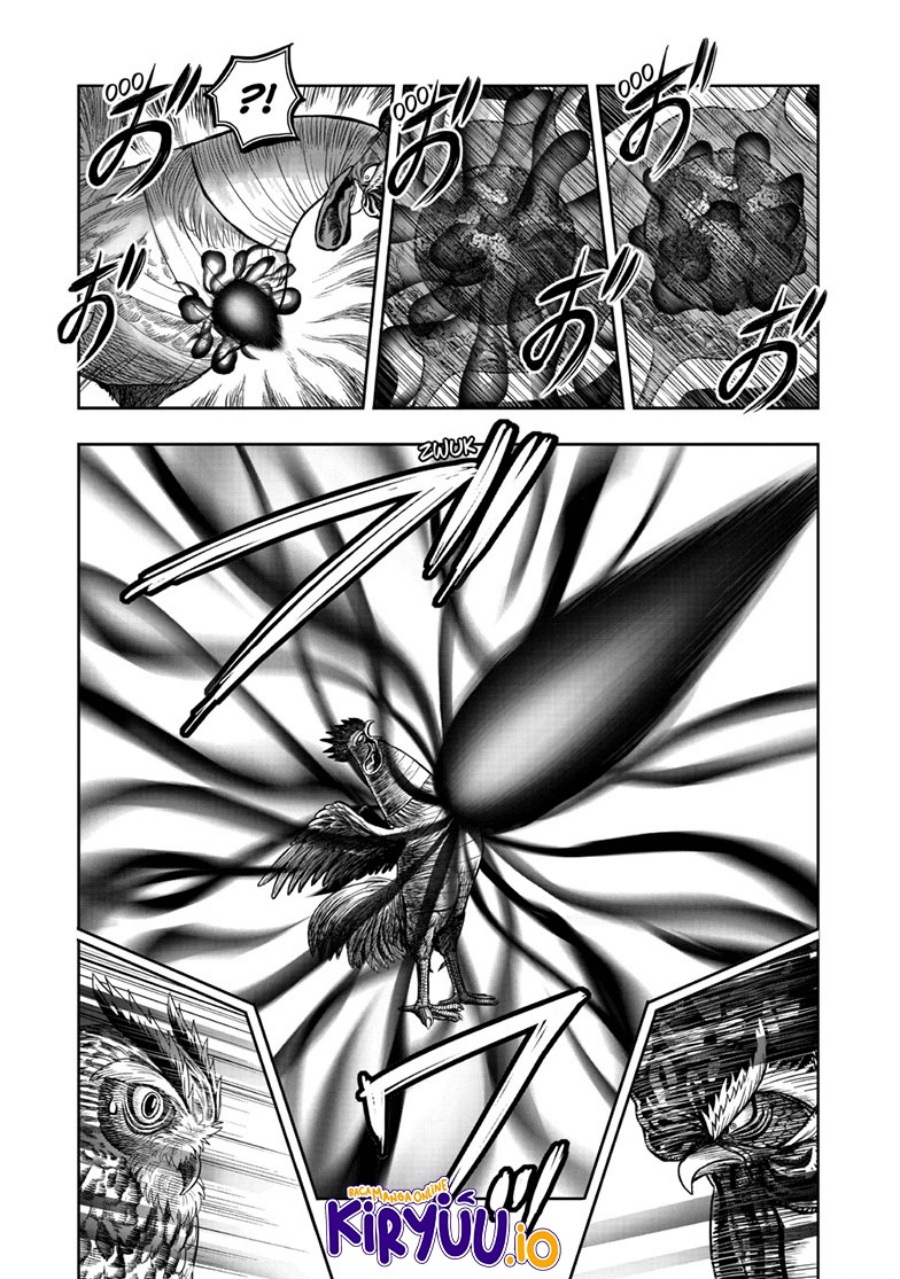 Rooster Fighter Chapter 49 fix Gambar 8