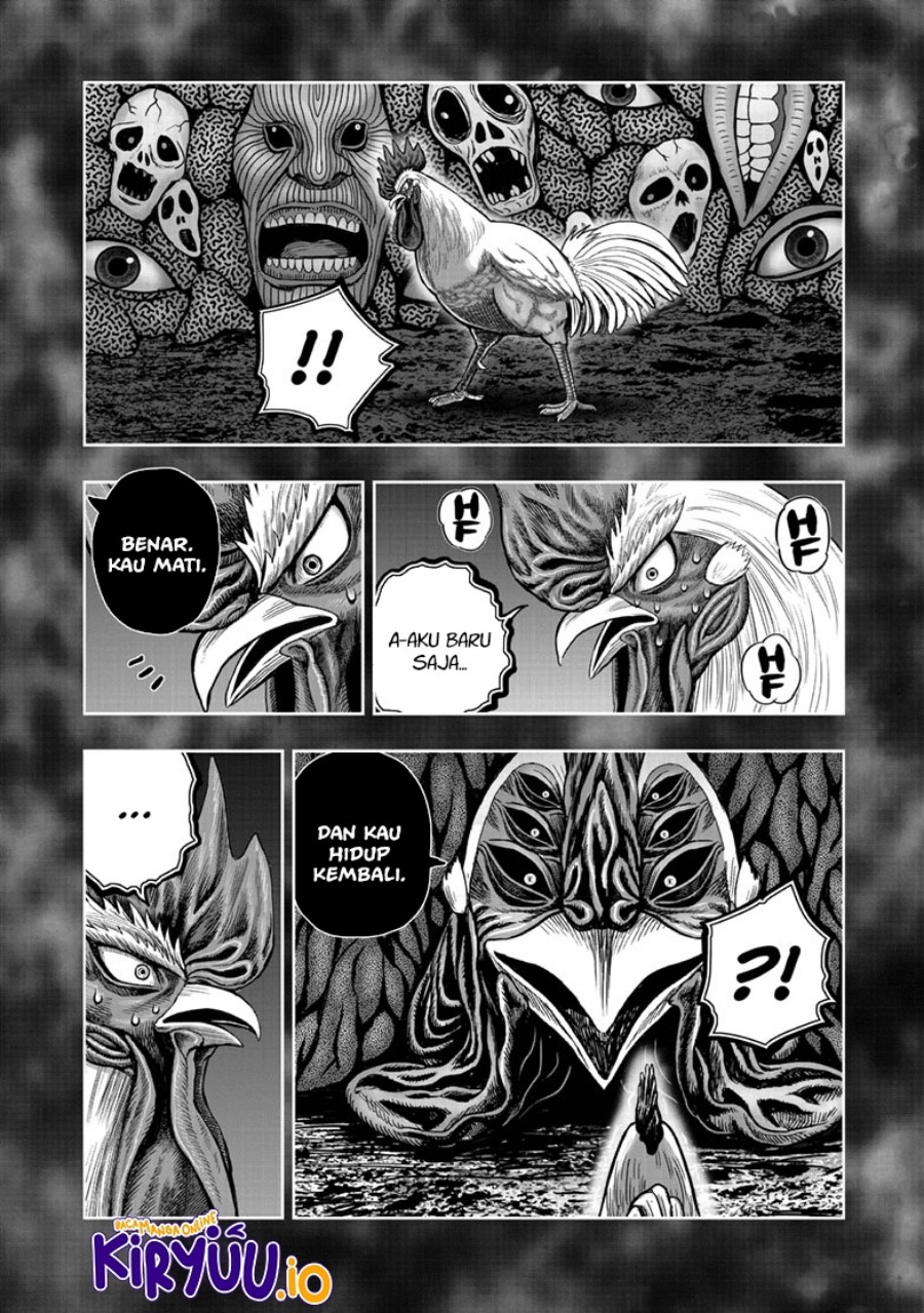 Rooster Fighter Chapter 49 fix Gambar 33