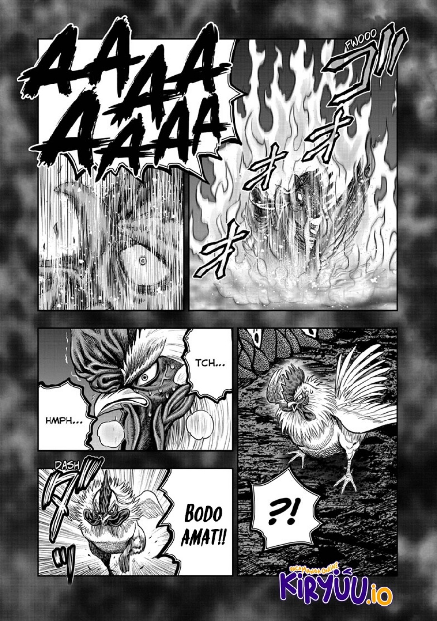 Rooster Fighter Chapter 49 fix Gambar 36