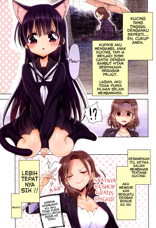 OL-san ga Neko wo Hirou Hanashi Chapter 02 Gambar 3