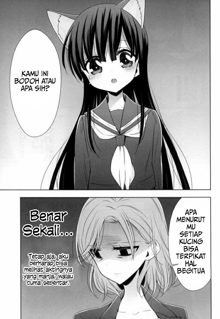 OL-san ga Neko wo Hirou Hanashi Chapter 02 Gambar 11