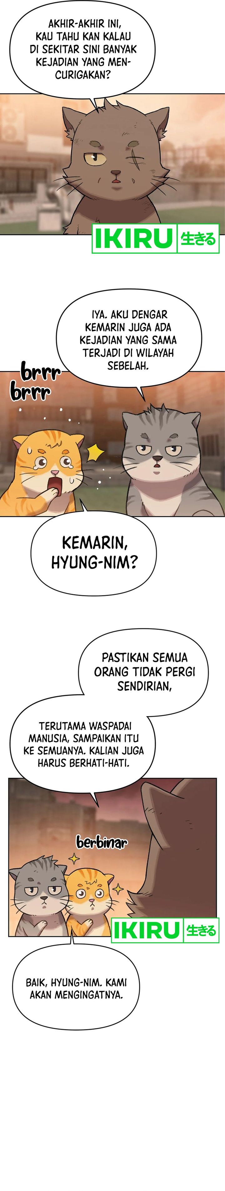 Rainbow Bridge Watchman Chapter 42 Gambar 16