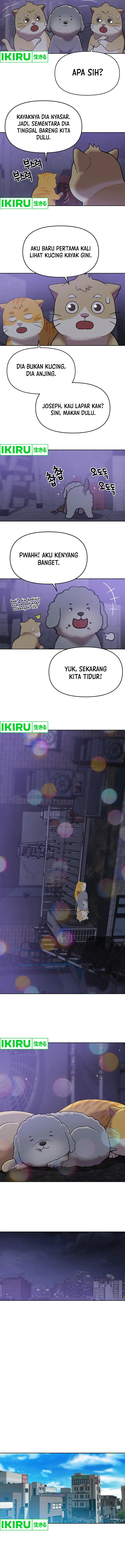 Rainbow Bridge Watchman Chapter 109 Gambar 3