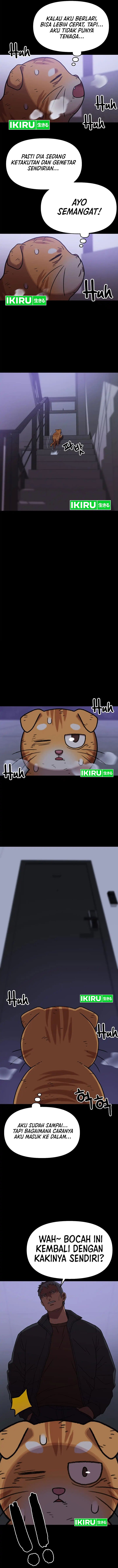Rainbow Bridge Watchman Chapter 138 Gambar 8