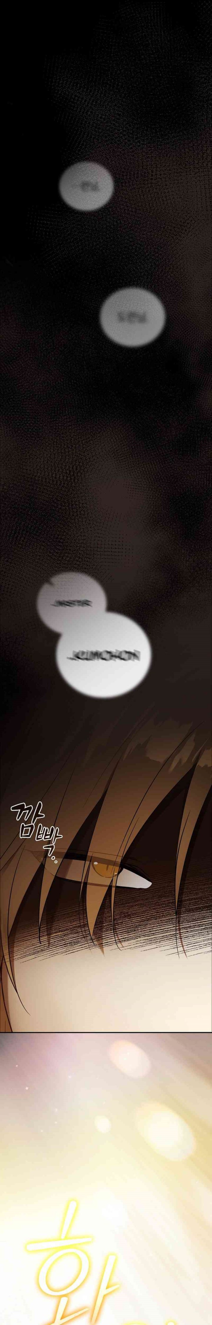 Reincarnated as the Archduke’s Son (A Mercenary’s Rebirth Among Nobles) Chapter 01 Gambar 49