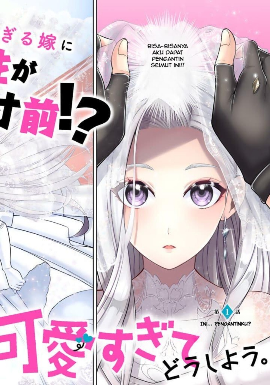 Rinkoku kara Kita Yome ga Kawaisugite Doushiyou Chapter 01 Gambar 3