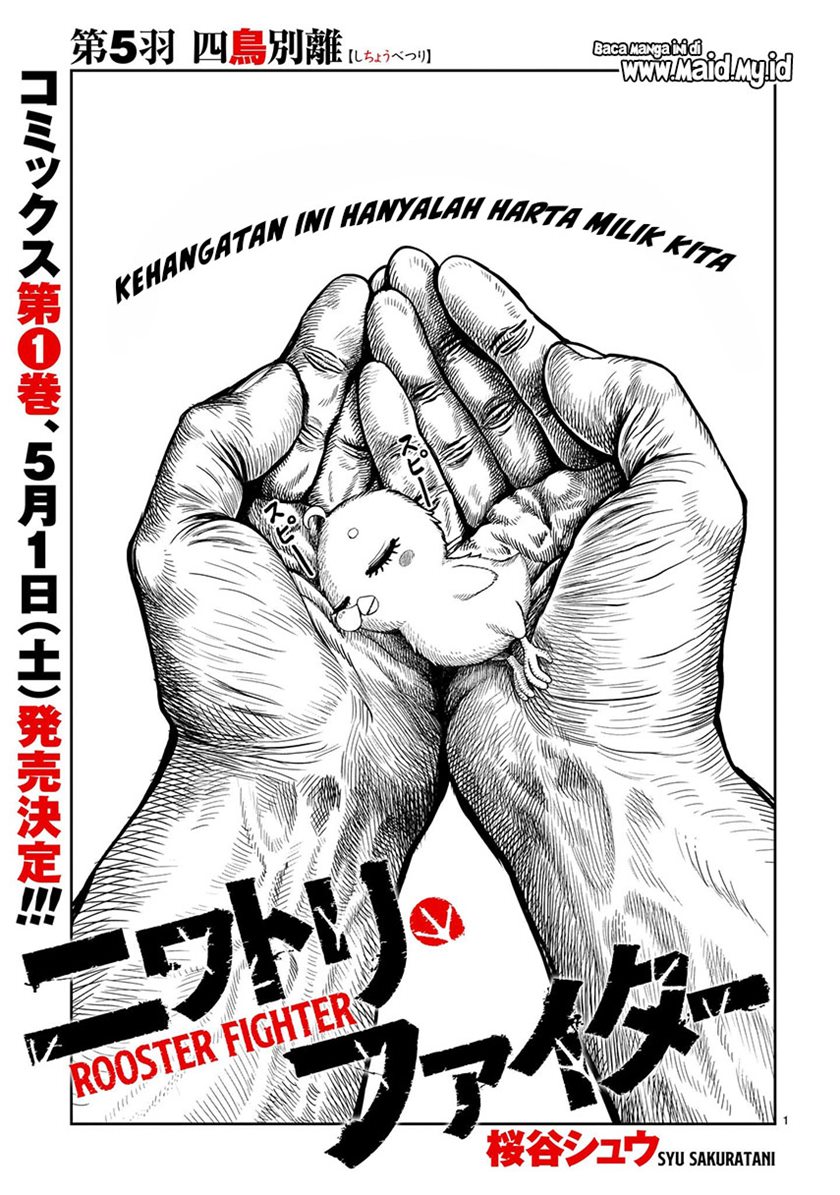 Rooster Fighter Chapter 05 Gambar 3