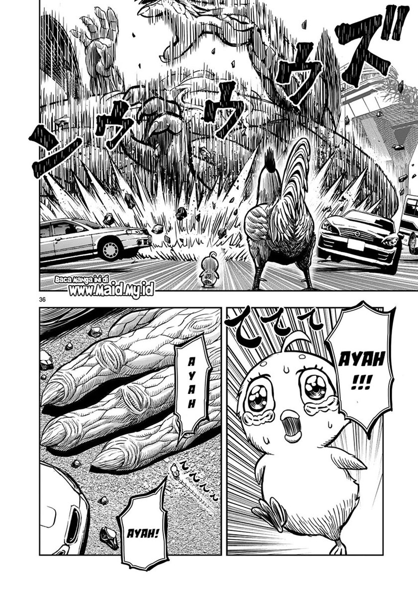 Rooster Fighter Chapter 05 Gambar 38