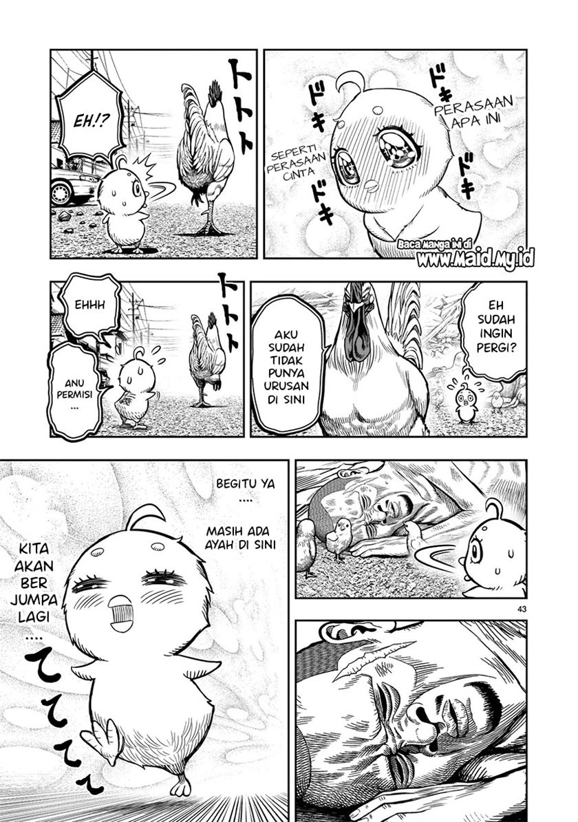 Rooster Fighter Chapter 05 Gambar 45