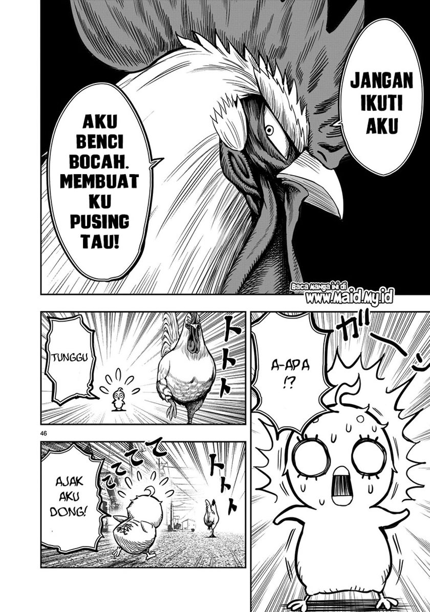 Rooster Fighter Chapter 05 Gambar 48