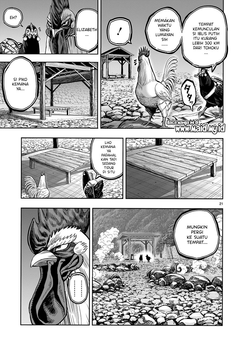 Rooster Fighter Chapter 08 Gambar 23