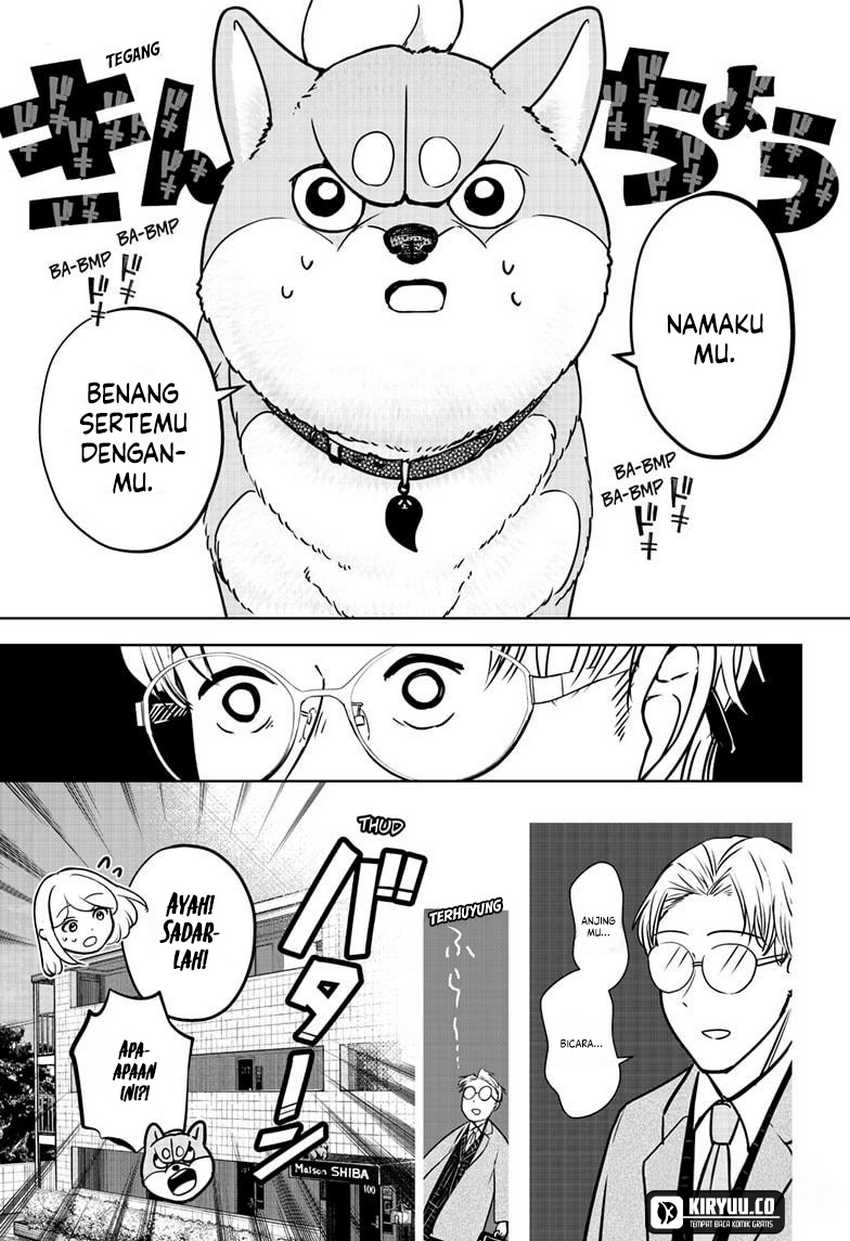 Shiba-Tsuki Bukken Chapter 16 Gambar 8