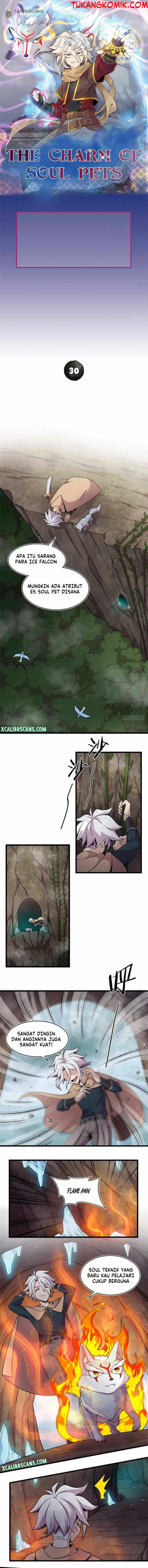The Charm of Soul Pets Chapter 30 Gambar 1