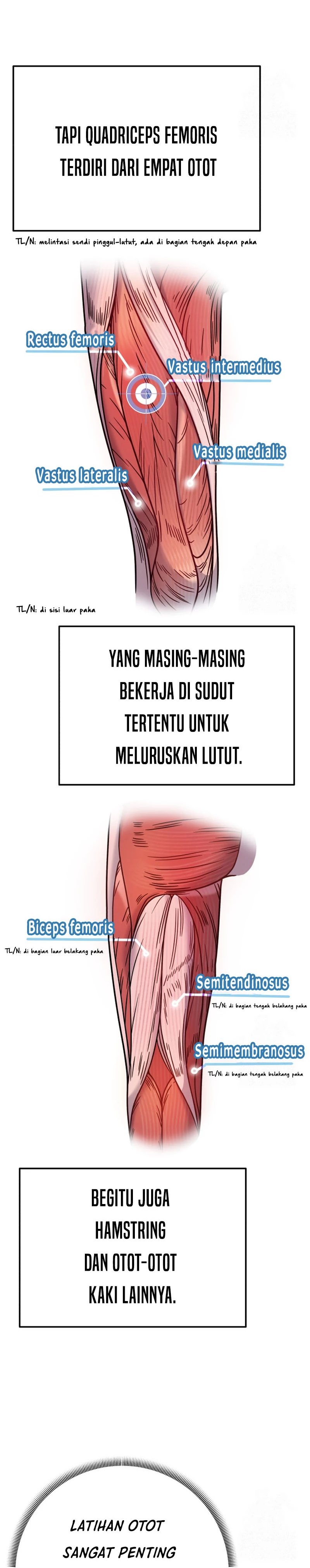 The Miraculous Physical Therapist Chapter 72 Gambar 12