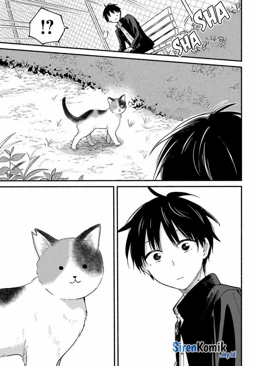 Tonari no Neko to Koi Shirazu Chapter 14 Gambar 18