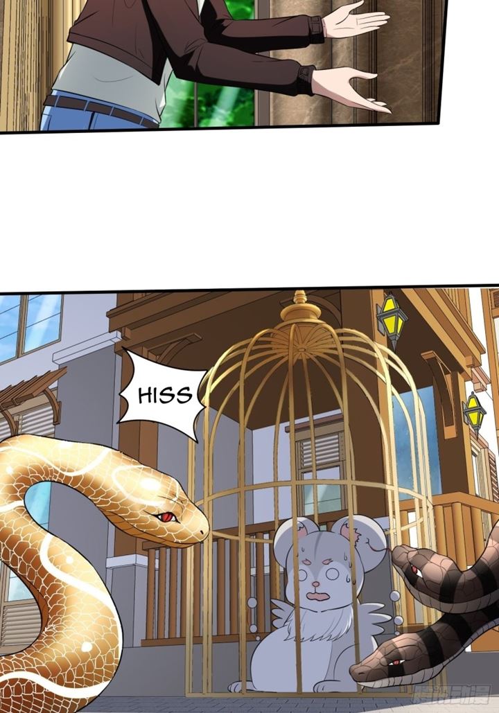 Villain Demon Son In Law Chapter 09 Gambar 15
