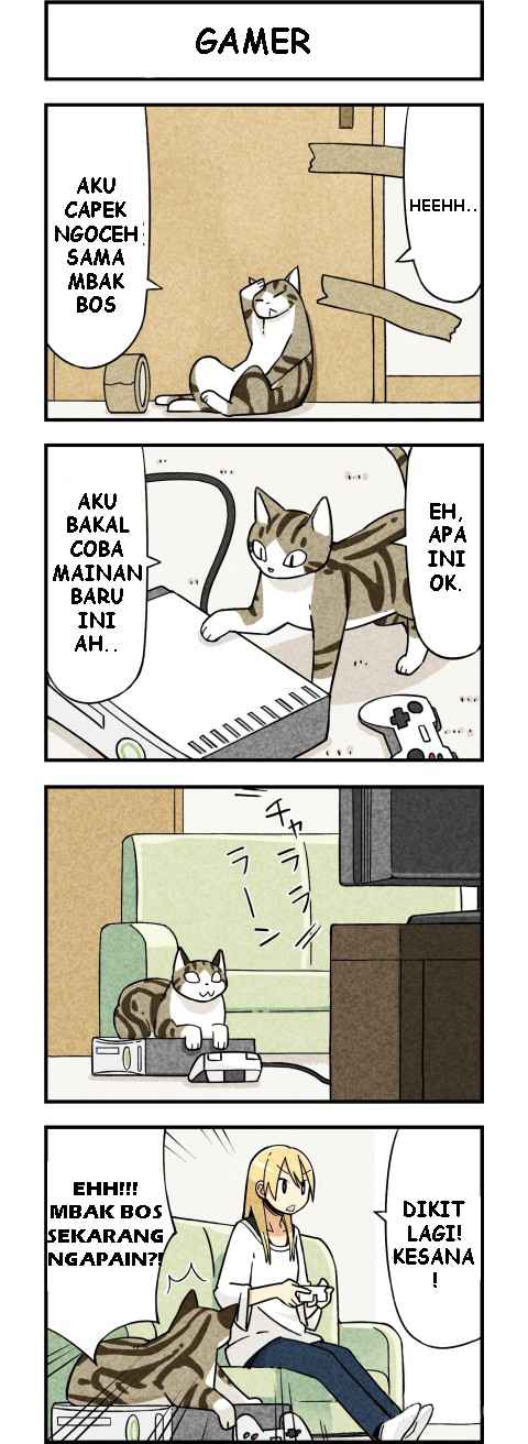 We Are Cats Chapter 02 Gambar 5